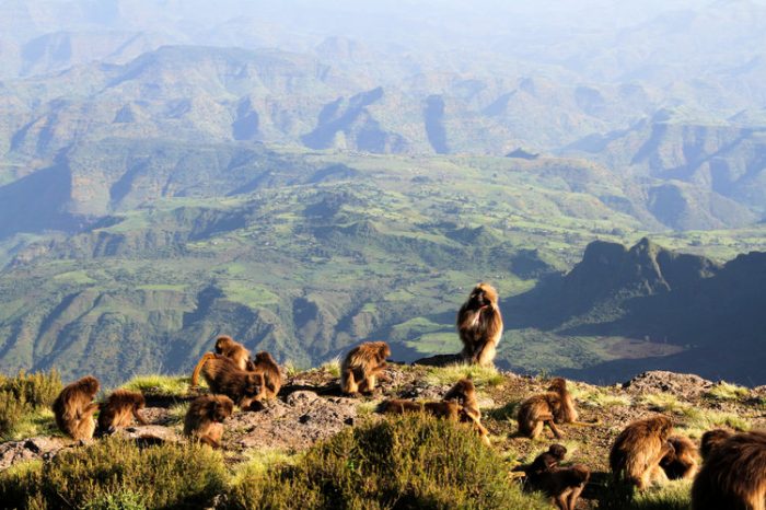 Simien Mountains